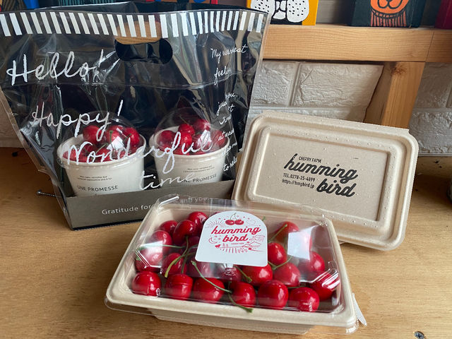 ���y�Y�p�b�N�e���葵���Ă���܂�_humming bird