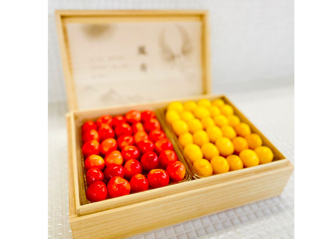 �ŏ㋉�˔�_humming bird