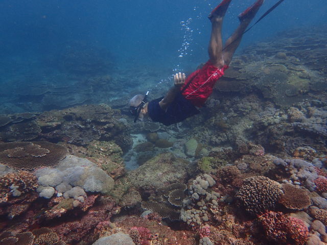 �������܂��V���m�[�P�����O�^�C��(^_-)-��_Lulu Sun