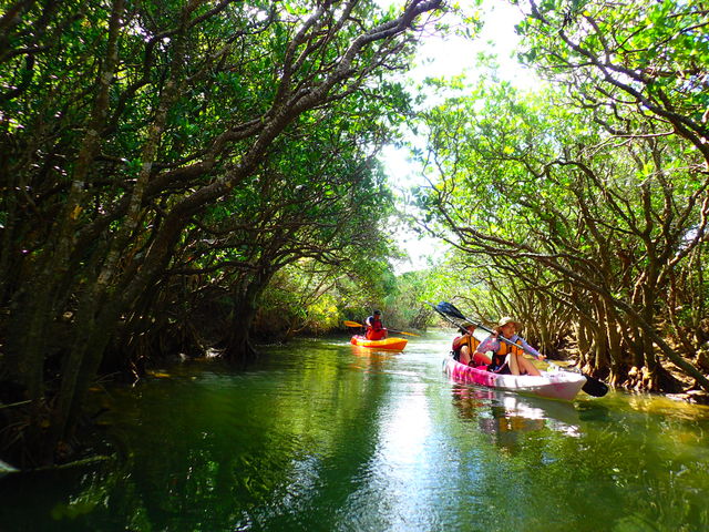 �����̃}���O���[�u�g���l��('��')�m_Lulu Sun