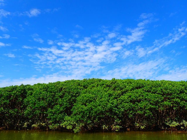 ���q���M�̌Q��_Lulu Sun