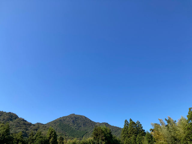 �X�J���x�t�@�[��