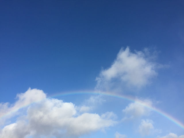 �X�J���x�t�@�[��