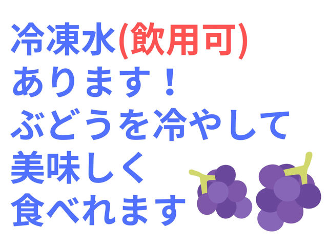 �X�J���x�t�@�[��