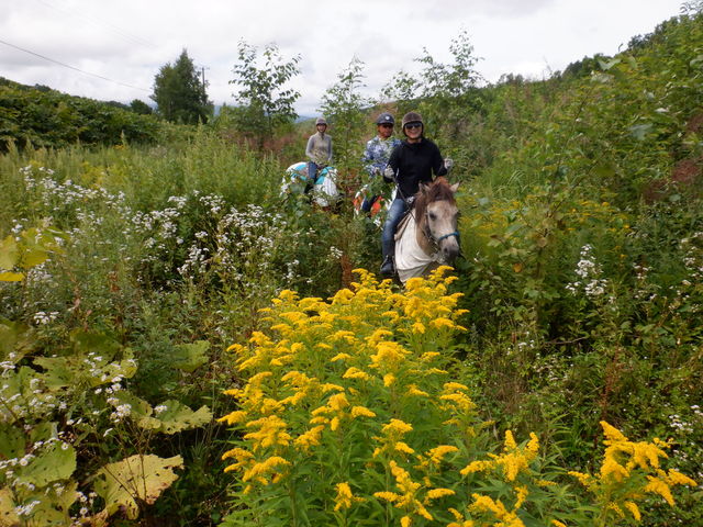 Horse back country