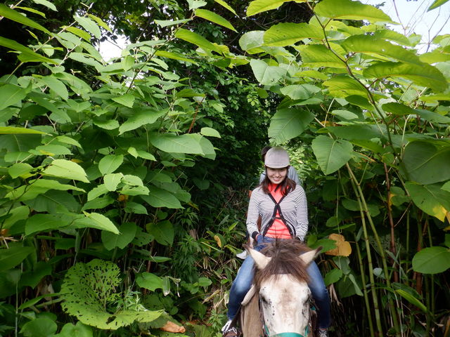Horse back country