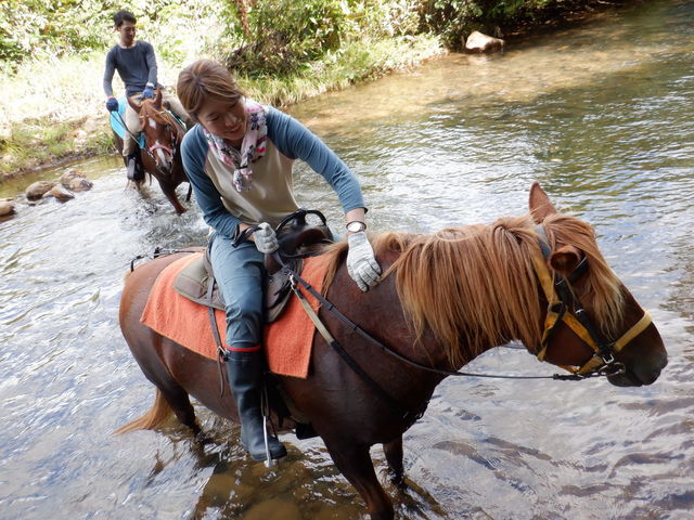 Horse back country