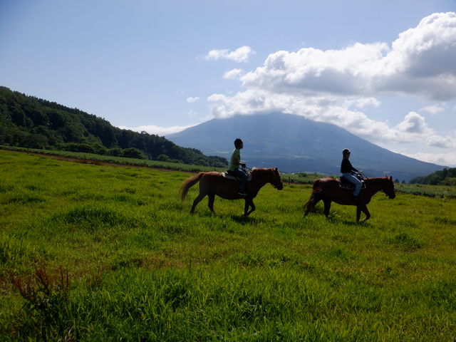 Horse back country