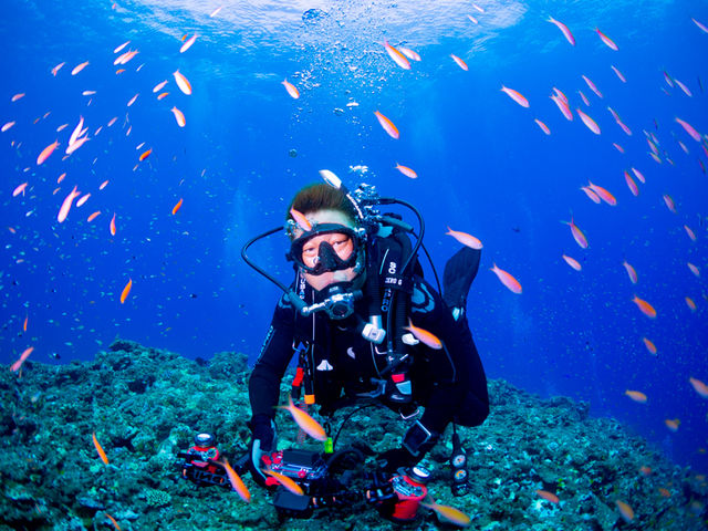 �����x���Q�̋{�Ãu���[��̌����Ă��������B_BLUE ALOHA�{�Ó�