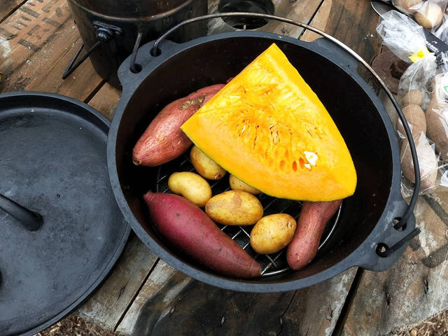 �A�E�g�h�A����_�n�j�[�K�[�f�����~��