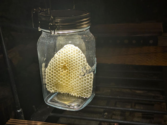 ���I�����^��_�n�j�[�K�[�f�����~��