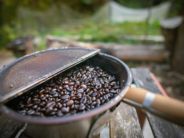 ���������R�[�q�[_�n�j�[�K�[�f�����~��