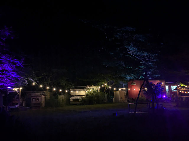 �i�C�g�^�C��_�n�j�[�K�[�f�����~��