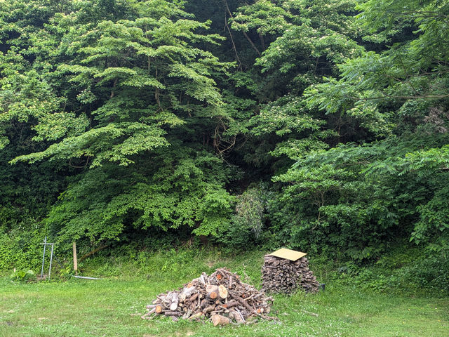 �d_�n�j�[�K�[�f�����~��