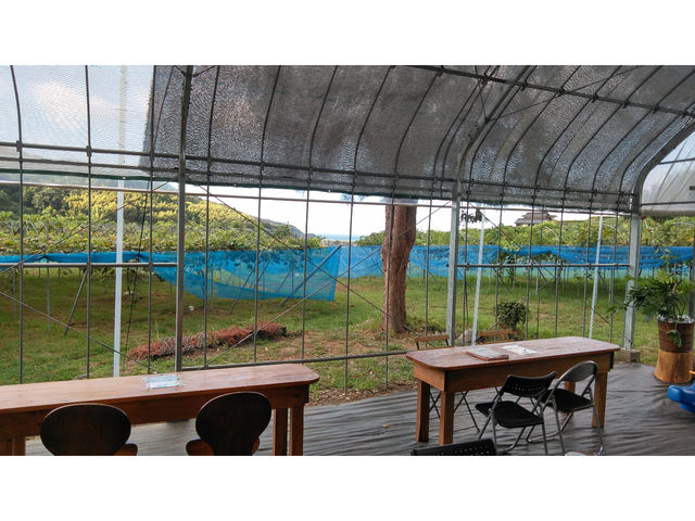 �Ƃ̂݊ό��_��