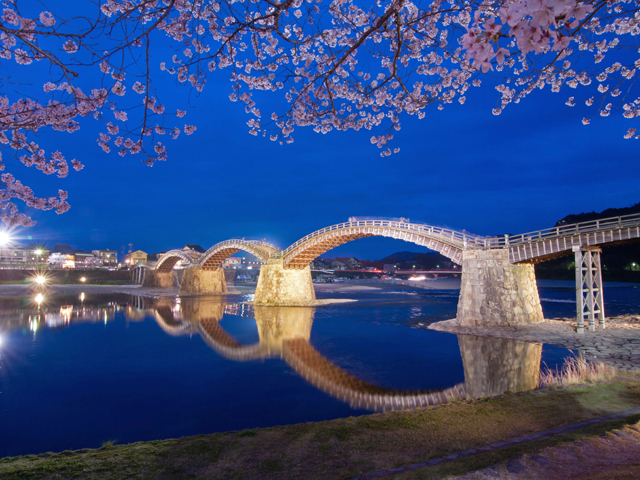 �ёы����_�J�[�v�ό��i�L���̃J�[�v�^�N�V�[�j