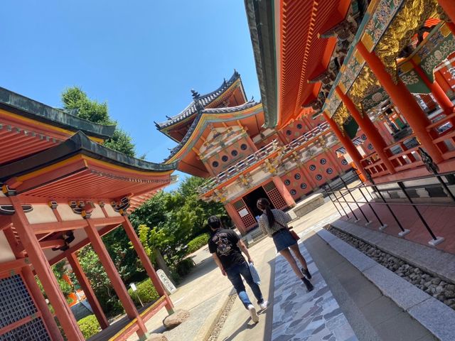 �h���̓����h�k�O��_�J�[�v�ό��i�L���̃J�[�v�^�N�V�[�j