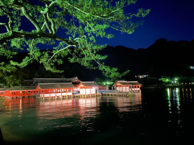 ���C�g�A�b�v���ꂽ�{���̎Гa_�J�[�v�ό��i�L���̃J�[�v�^�N�V�[�j