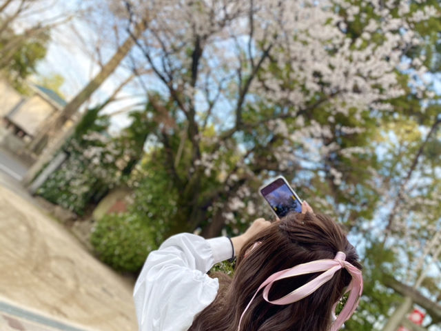 ���̋G�߂�����Ă��܂�����_�J�[�v�ό��i�L���̃J�[�v�^�N�V�[�j