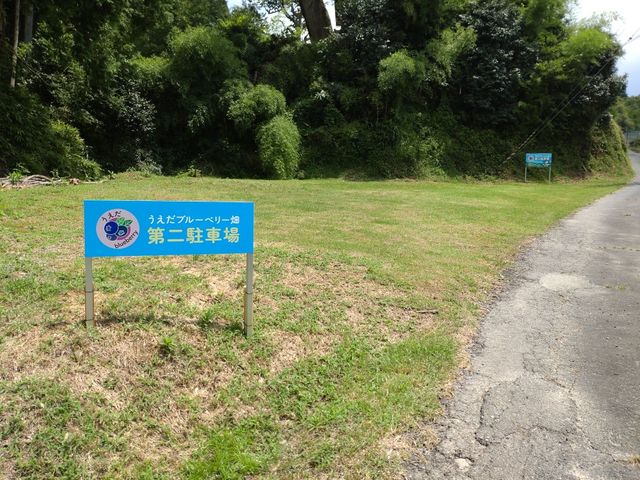 �������u���[�x���[��