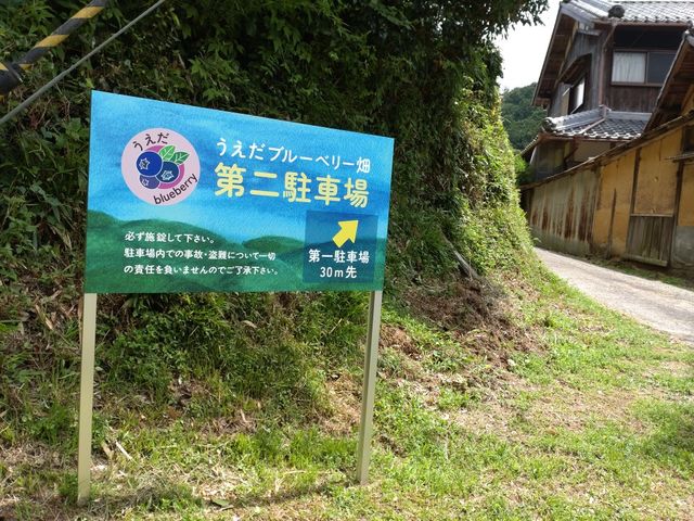 �������u���[�x���[��