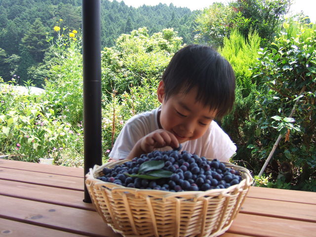 �������u���[�x���[��