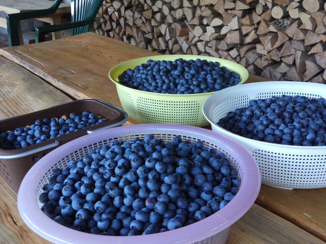 �������u���[�x���[��