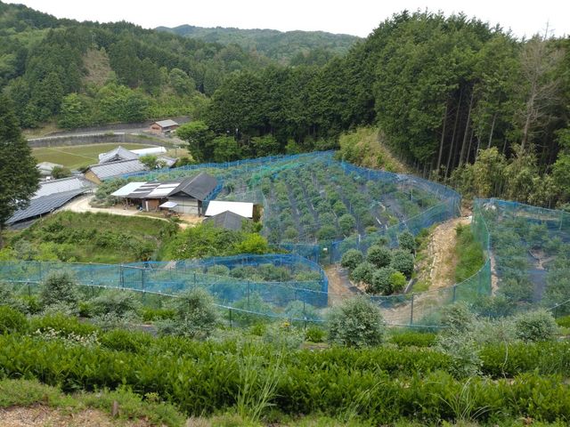 �������u���[�x���[��