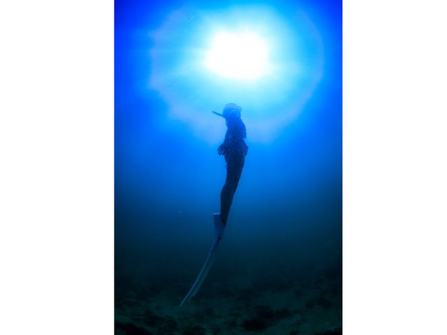 �X�L���_�C�r���O_BLUE��LIFE