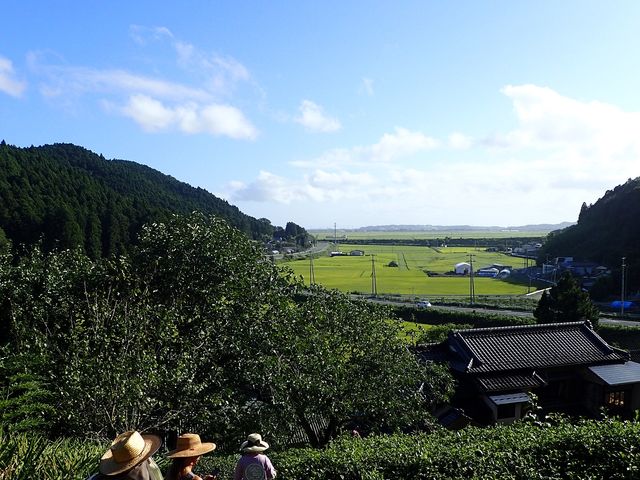 裏山の眺めは、登る苦労も相まっていい景色です。_あかま里山農園(飯野村)
