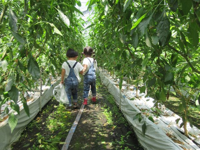 ���傤�������������āA���傫���s�[�}����T���Ă��܂��B_������Г���_��