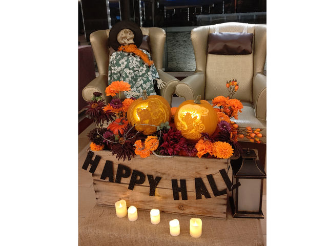 �n���E�B�������^�����b�X�������Ă܂�(^o^)
�V�F���g���z�e���ɓW������܂���_�J�[�r���O�A�g���GSHIRAKI