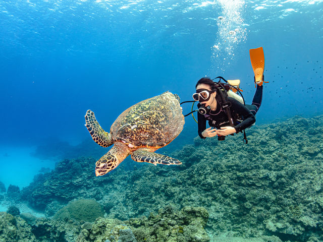 �P���}�̓E�~�K���ɉ��m�����I_����t���A�_�C�u