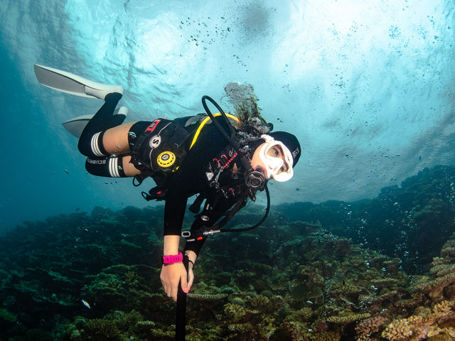 �������͂̃R�c�����J�ɋ����܂�_����t���A�_�C�u