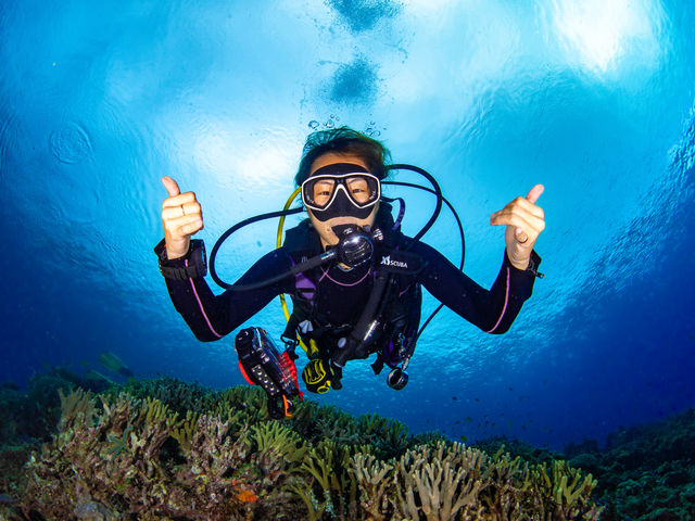 �ō��̏Ί�_����t���A�_�C�u