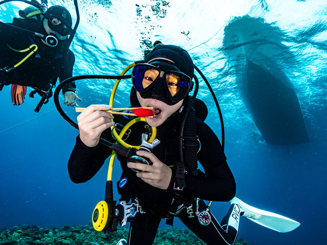 �����Ŏ��i�H�ׂ�R���Z�v�g���ʔ���_����t���A�_�C�u