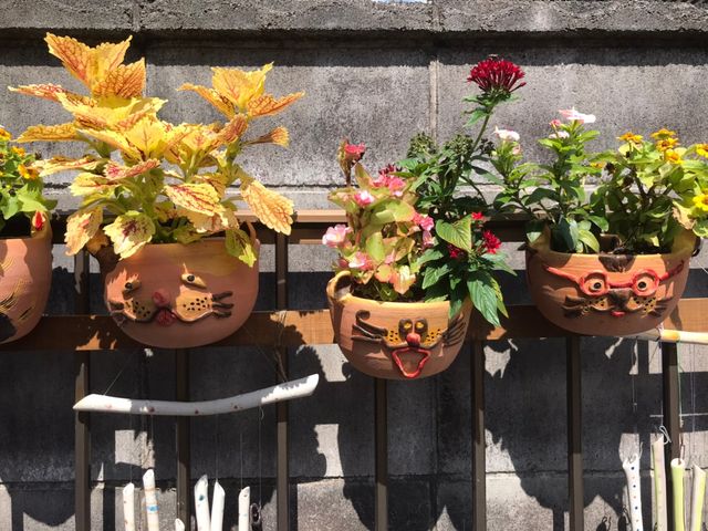 �L�̐A�ؔ���_�ŁE���|�E�z����