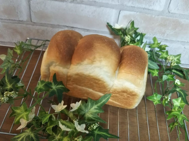 ���L�b�`��