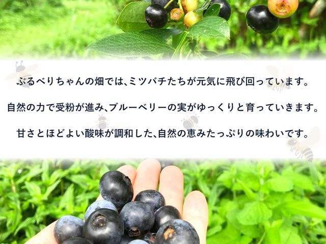 �Ԃ�ׂ肿���̔�