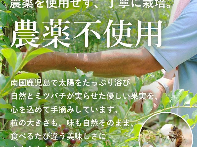 �Ԃ�ׂ肿���̔�