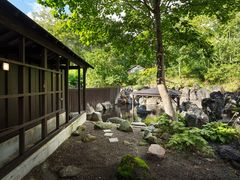 �j�Z�R�A���k�v������@���S���̎ʐ^1