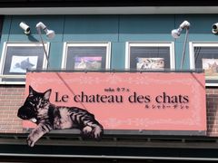 nekoJtF@Le@chateau@des@chats̎ʐ^1