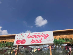 humming birdの写真1