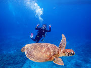 Bonz. Okinawa Diving Center̎ʐ^4