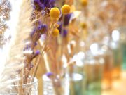 itoaware-Ƃ͂-sX̎ʐ^3