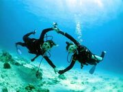 _CrOVbv@A[NGWF̎ʐ^2