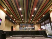 VR@[̓@h[~[CoqdlhtlȂ΂̎ʐ^2