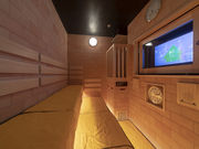 VR@Q؂̓@h[~[CJ̎ʐ^2