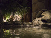 VR@Q؂̓@h[~[CJ̎ʐ^3