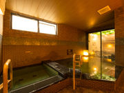 쉷@V_̓@h[~[C~c̎ʐ^2